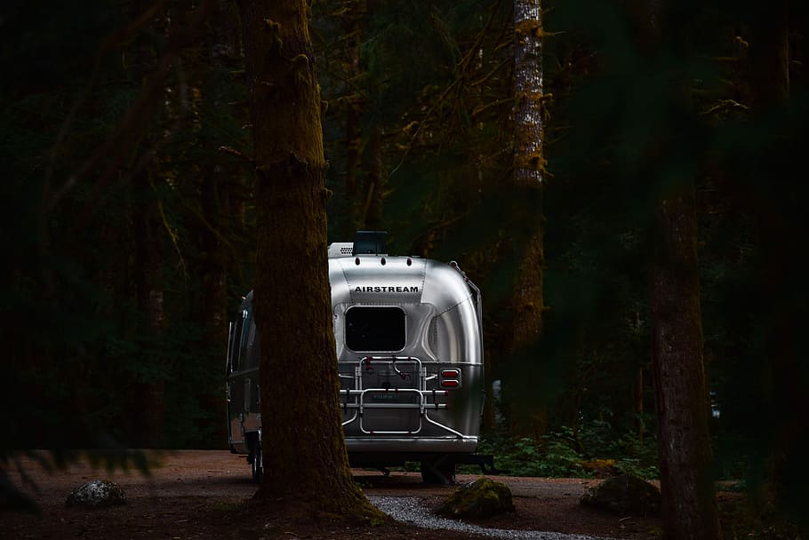 AirStream, travel trailer in the middle of trees at daytime, van, HD wallpaper
