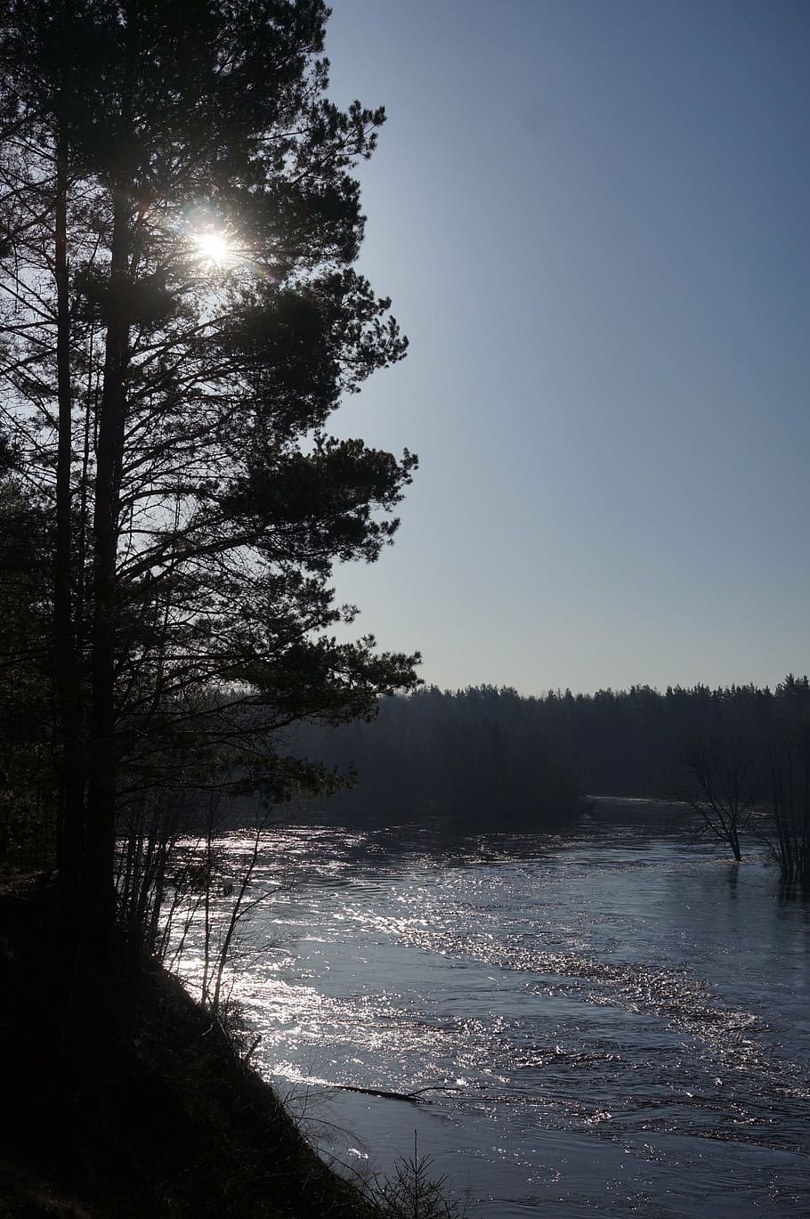sun, river, water, nature, tree, landscape, forest, winter HD wallpaper