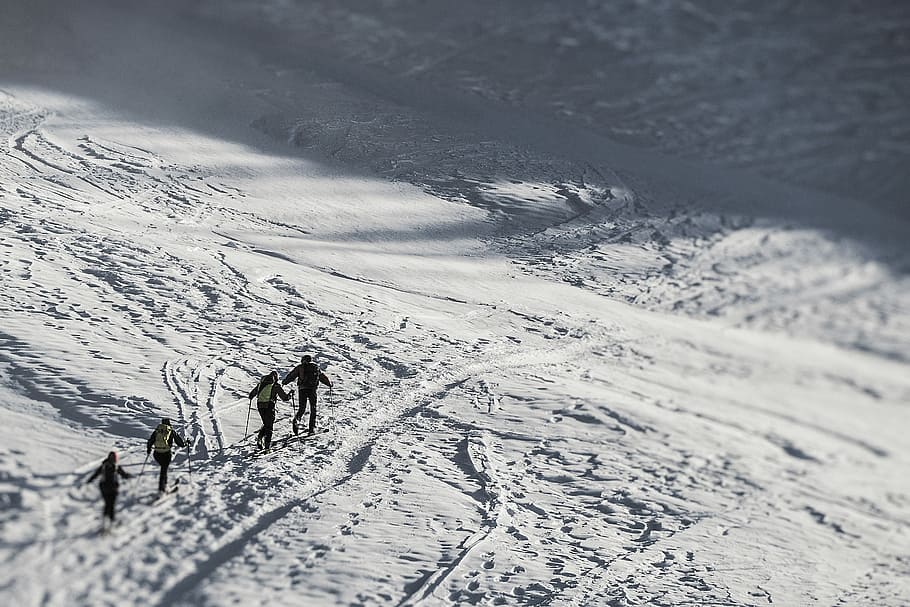 people walking on snow covered ground during daytime, four people walking on snow during daytime HD wallpaper