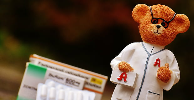 selective focus photography of bear figurine, profession, pharmacist HD wallpaper