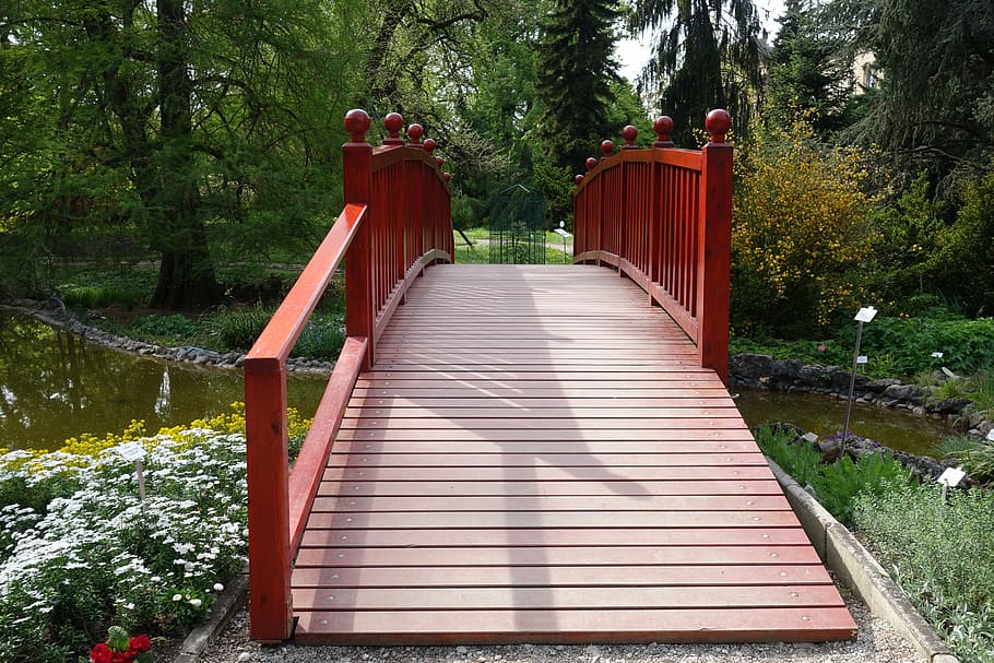 wood, bridge, nature, structure, park, tree, plant, the way forward HD wallpaper