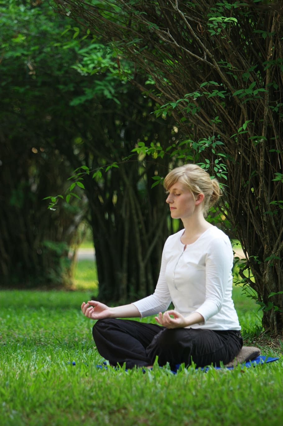 woman performing yoga, buddhist, meditation, girl, wat, meditate, HD wallpaper