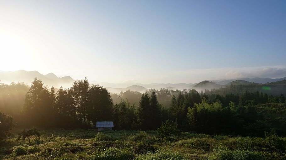 清晨, 故乡, 远山, sky, tree, scenics - nature, plant HD wallpaper