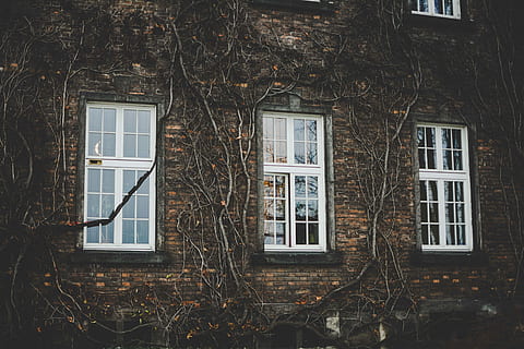 white wooden framed glass panel windows on brown brick wall building, white wooden framed window on house HD wallpaper