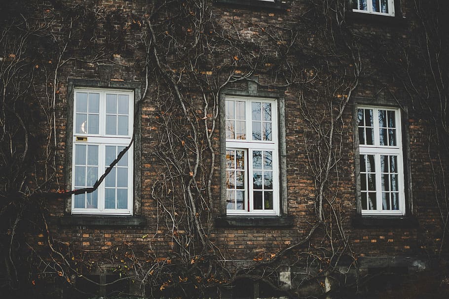 white wooden framed glass panel windows on brown brick wall building, white wooden framed window on house HD wallpaper