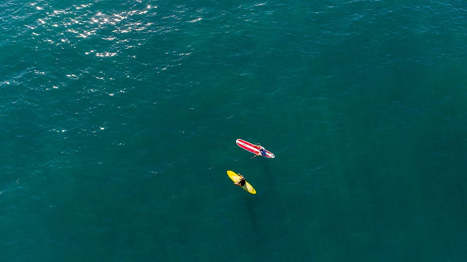 two surfers on water, two red and yellow surfboards in body of waters HD wallpaper