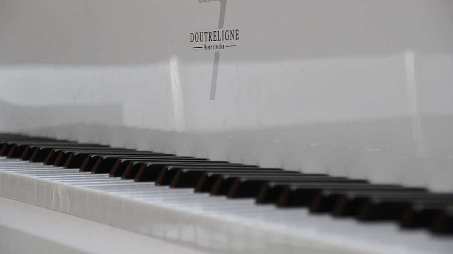 plan, piano, music, buttons, keys, keyboard, musical instruments HD wallpaper
