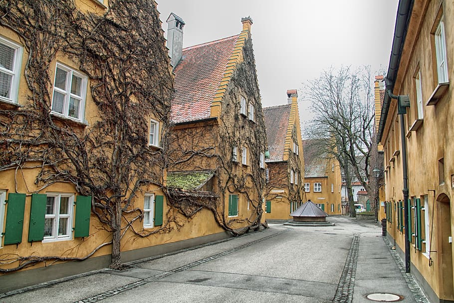 brown house covered tree photo, augsburg, germany, street, houses, HD wallpaper