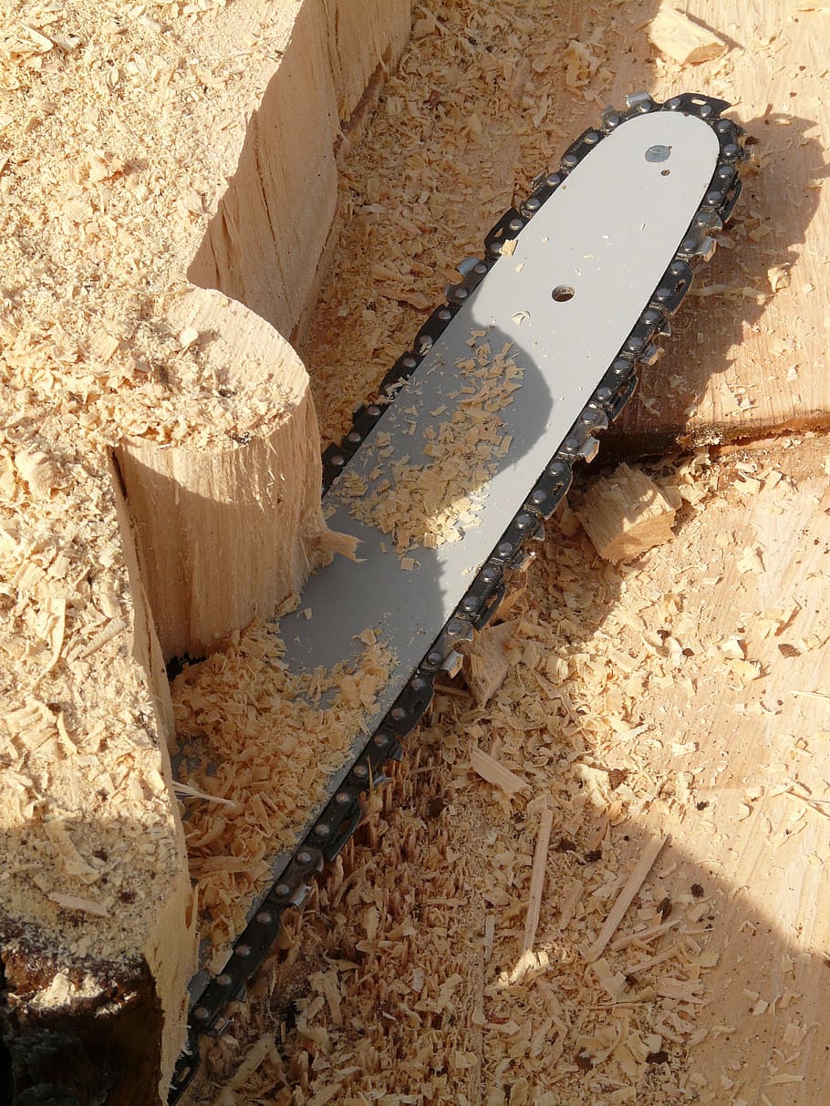 saw, chainring, chainsaw, wood, firewood, woodworks, tree, timber HD wallpaper