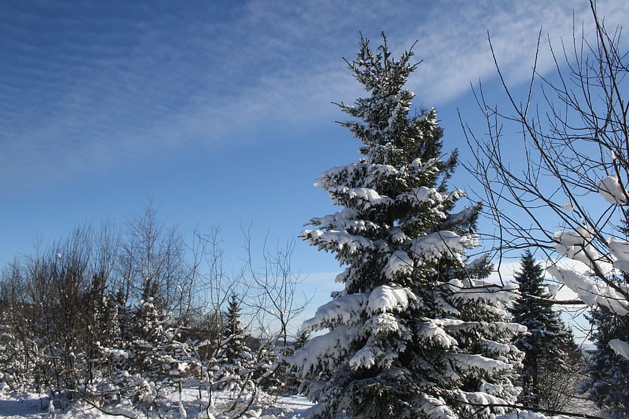 snow, mountains, winter, nature, sky, pleasure, landscape, frost HD wallpaper