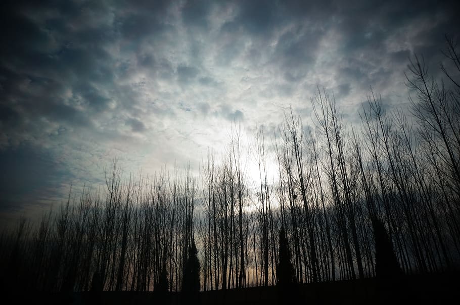 dark clouds, trees, sky, cloud - sky, nature, no people, beauty in nature HD wallpaper