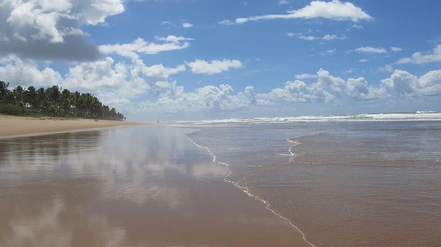 brazil, praia-busca-vida, salvador, water, sea, sky, land, beach, HD wallpaper