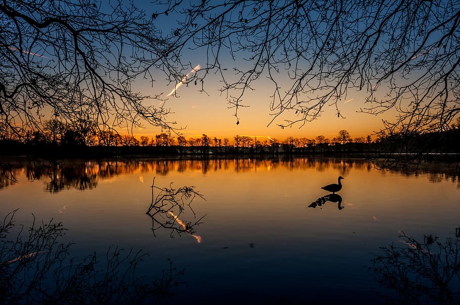 light, dawn, landscape, nature, clouds, lake, outdoors, reflection HD wallpaper