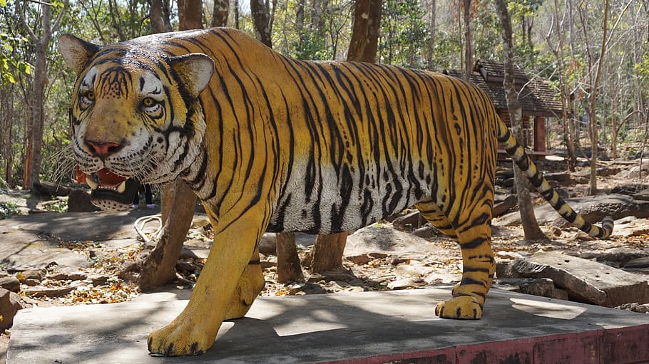 tiger, statue, awesome, pattern, fangs, animal themes, mammal HD wallpaper