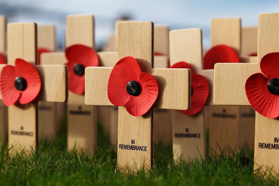 brown wooden cross decor lot, color, day, death, flower, loss HD wallpaper