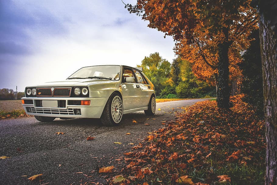 white car parking beside maple tree, lance, delta, autumn, auto HD wallpaper