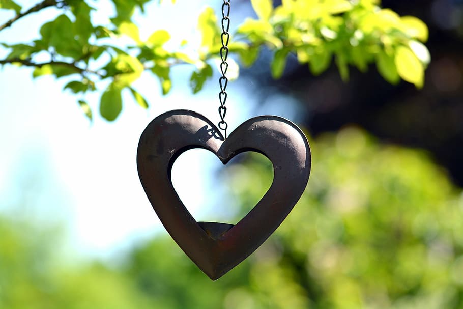 heart, deco, gartendeko, decode close-up, dekoherz, decorate HD wallpaper