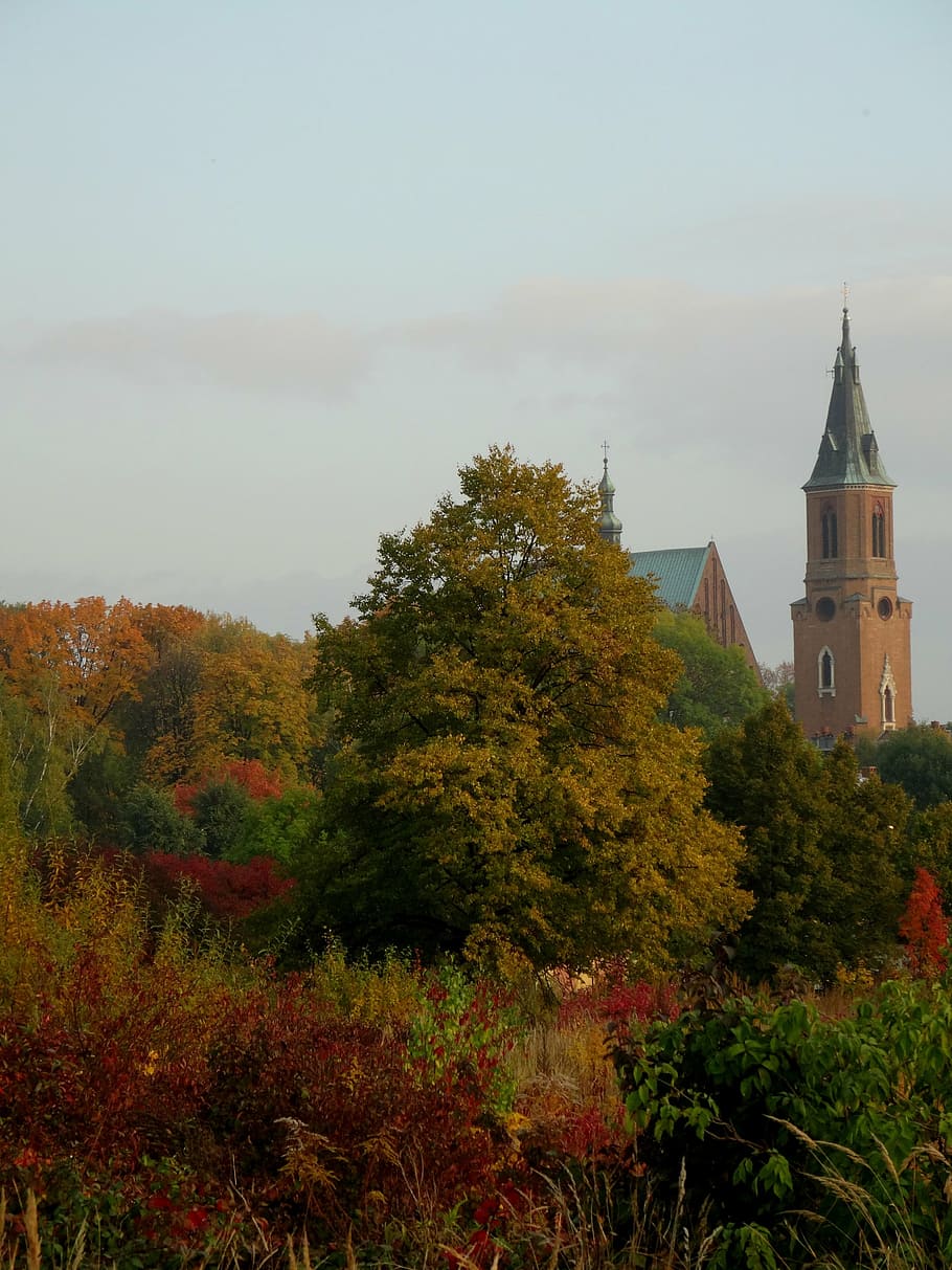 olkusz, poland, landscape, tree, evening, autumn, tower, architecture HD wallpaper