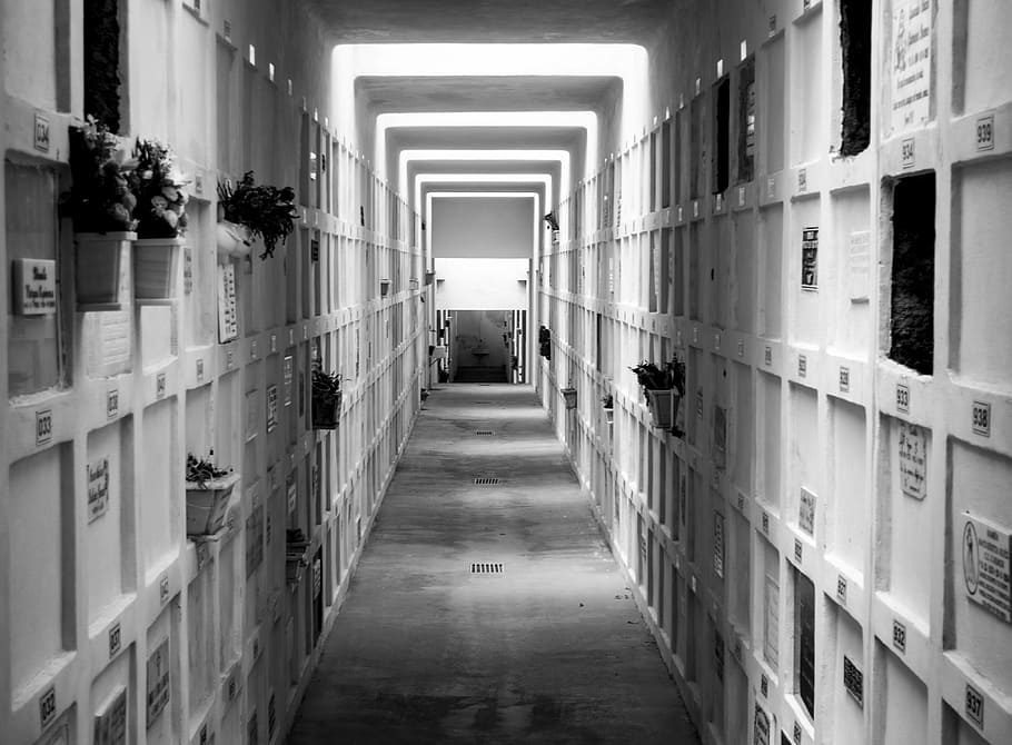 cemetery, peace, rest, sleeping, memory, love, black And White HD wallpaper