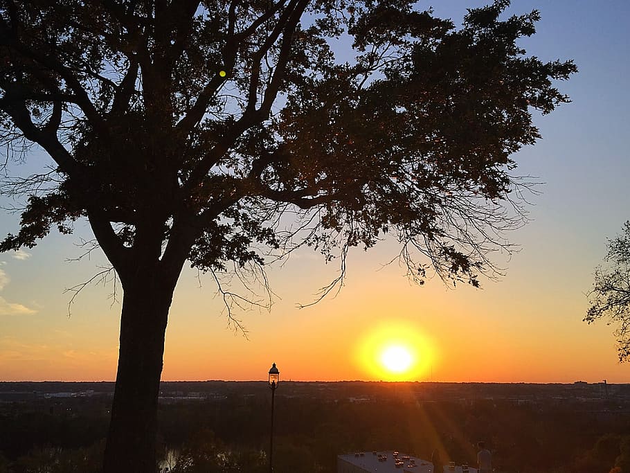 Sunset, Libby Hill, Hill Park, Rva, Tree, libby hill park, silhouette HD wallpaper