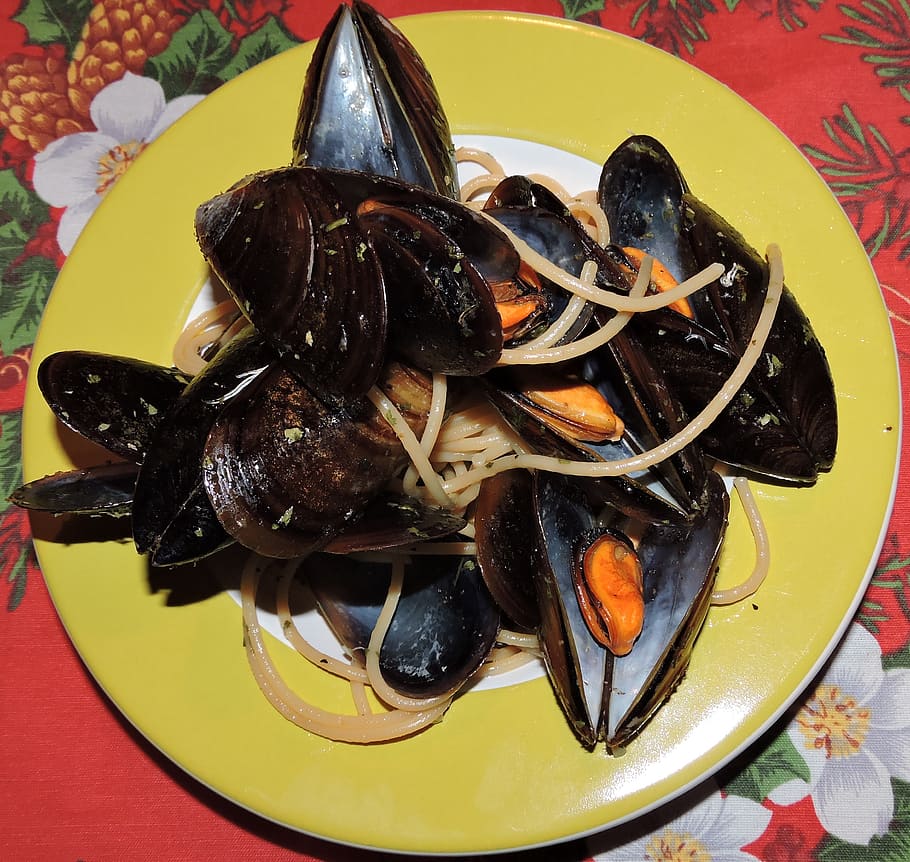 spaghetti, mussels, dish, eat, pasta, kitchen, typical dish HD wallpaper