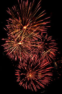 red fireworks, fireworks display, celebration, night, color, colorful HD wallpaper