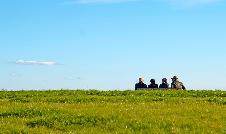 four, bench, view, trip, looking out, green, idyll, sky, plant HD wallpaper