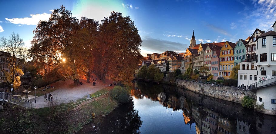 houses near body of water and trees, autumn, tübingen, nature