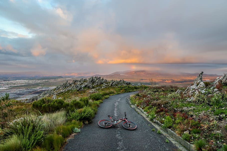 bike on the road surrounded by plants, black bicycle on gray concrete road near green grass, HD wallpaper