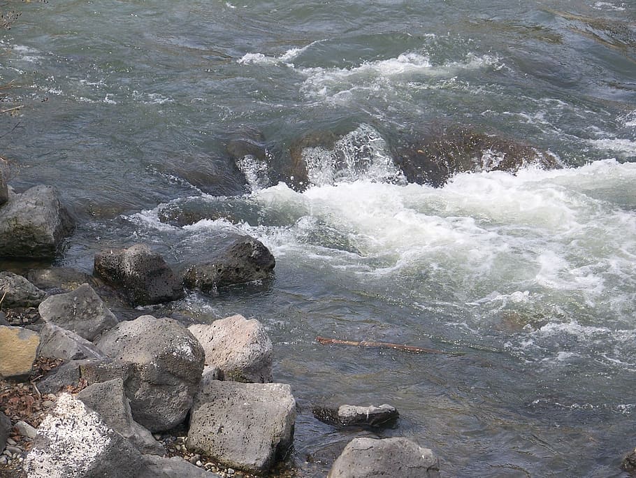 Water, Splash, Rocks, Rapids, Flow, river, landscape, no people HD wallpaper