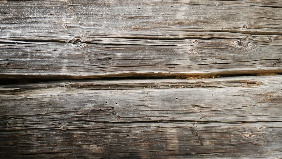 Tree, House, Wall, wood - Material, backgrounds, plank, textured HD wallpaper