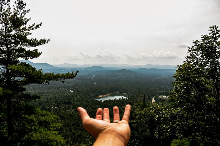 aerial photography of trees near lake under cloudy sky, person's hand sticking out overlooking forest