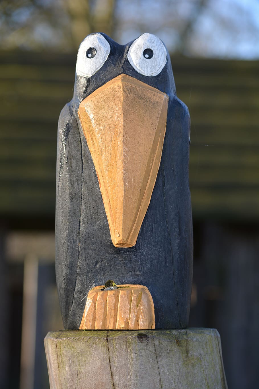 bird, raven, image, focus on foreground, no people, day, wood - material HD wallpaper