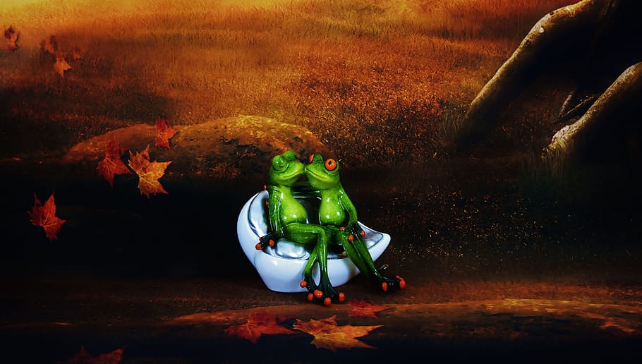 Frogs, Lovers, Cute, Pair, valentine's day, figure, fun, decorative HD wallpaper