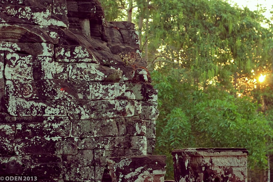 stone, trees, green, siem reap, angkor thom, scenery, nature HD wallpaper