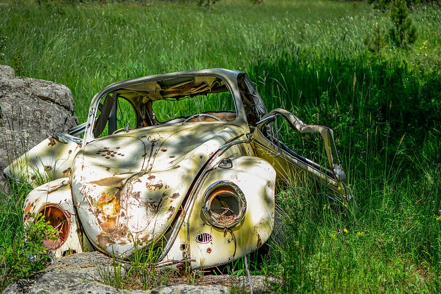 abandoned, beetle, car, classic, grass, outdoors, rusty, vehicle HD wallpaper