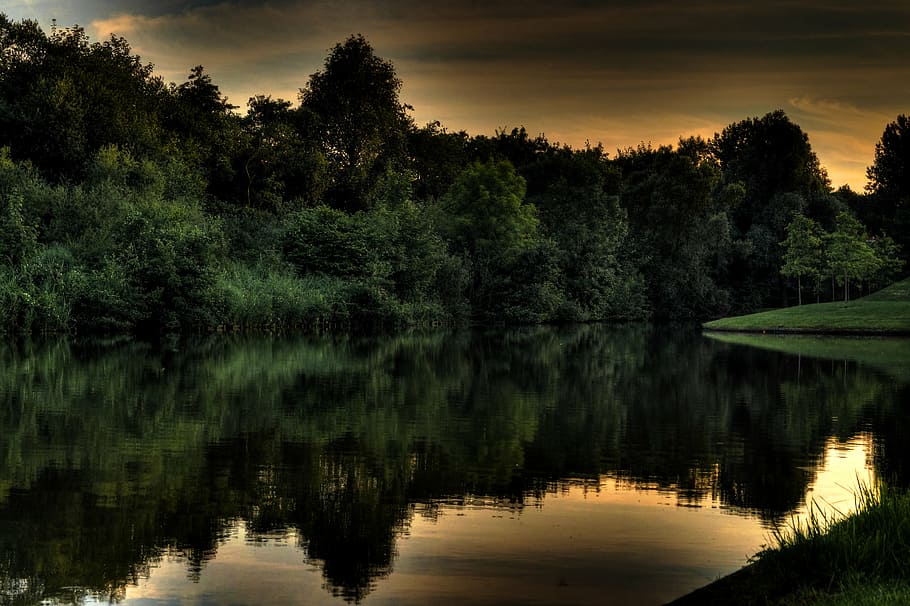 body of water near green trees, forest, lake, reflection, sky HD wallpaper