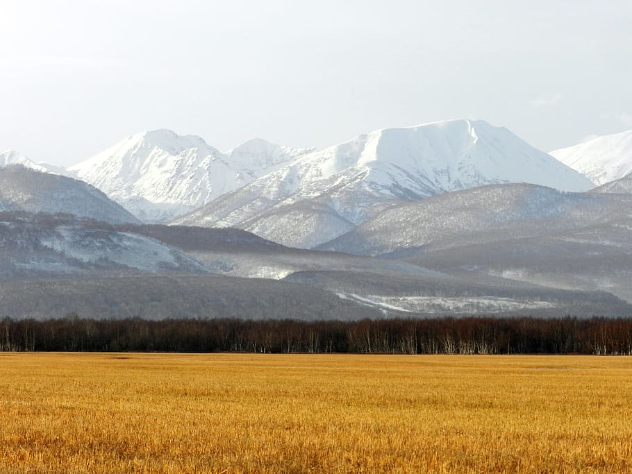 fields, late autumn, grass, mountains, forest, nature, landscape HD wallpaper