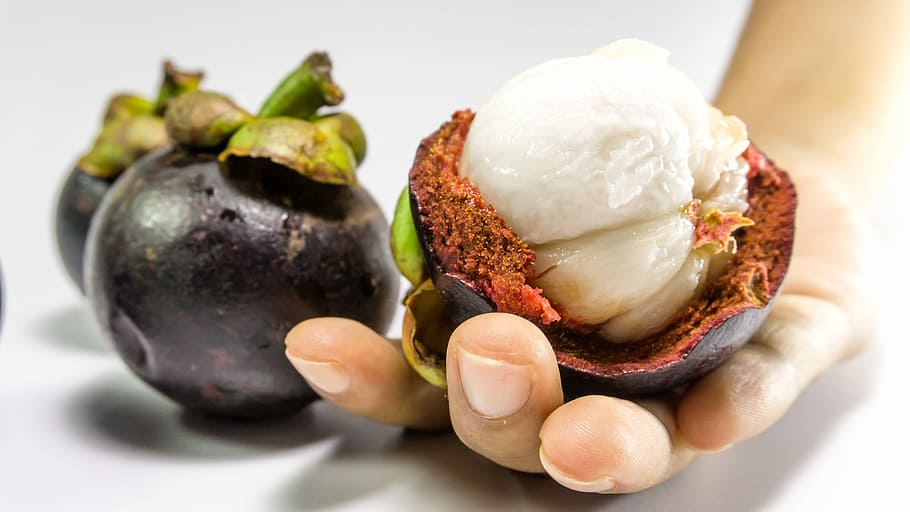 Mangosteen, Fruit, White, Tropical, isolated, background, food