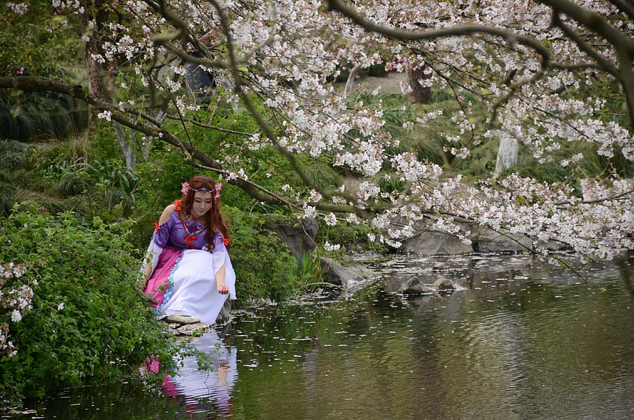 Fine, Olfactory, Flower, Incense, Spring, cherry blossom, pond HD wallpaper