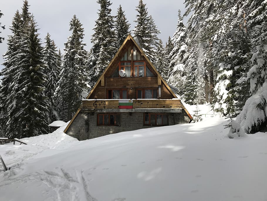 chalet, mountain, vitosha, forest, planinarska songs, winter, HD wallpaper