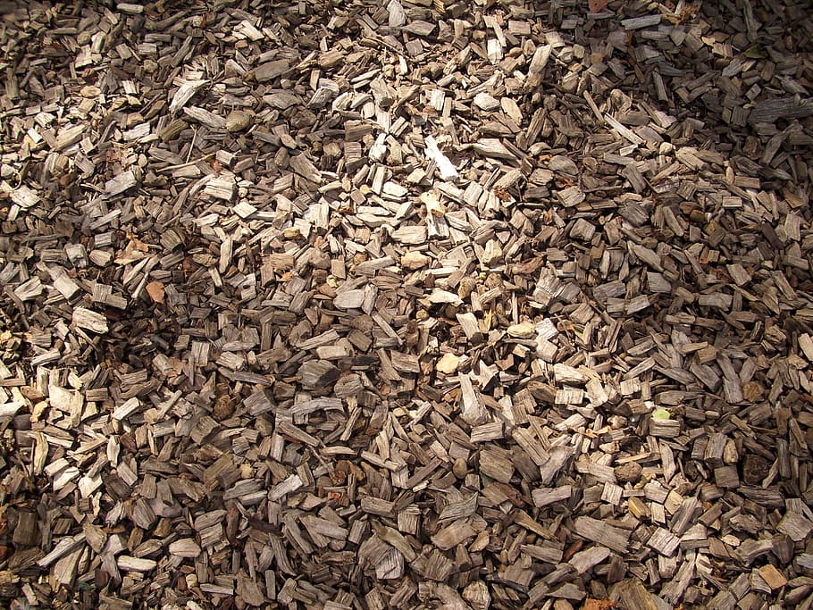 wood chips, tree bark, nature, brown, texture, light, shadow HD wallpaper