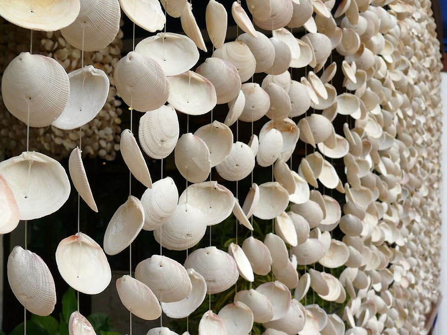 shells, sea, beach, dominican, republic, restaurant, decoration HD wallpaper