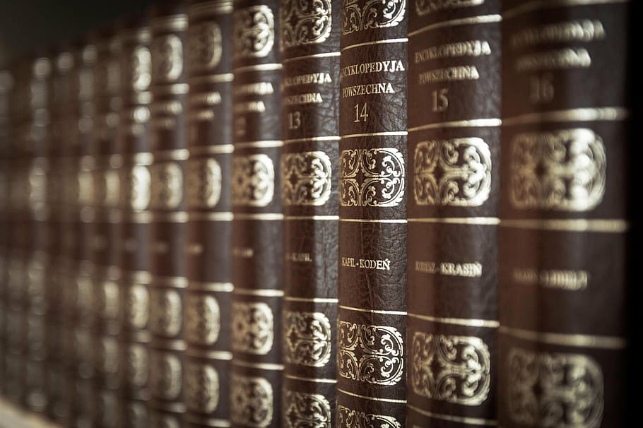 brown hardbound book lot, library, reading, education, knowledge HD wallpaper