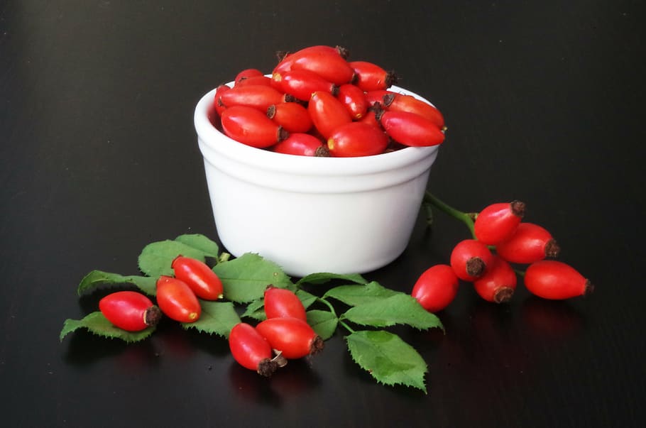 red fruit on white bowl, darts, fruits, eglantine, tea, autumn, HD wallpaper