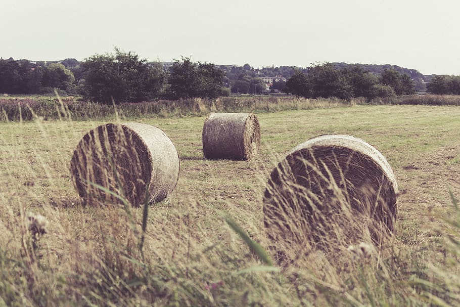 hay, bale, haystack, field, pasture, rural, farming, grass HD wallpaper