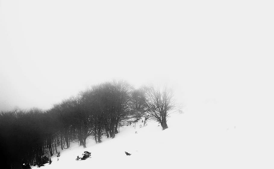Matagalls, Snow, Mountain, mountains, landscape, nature, white HD wallpaper