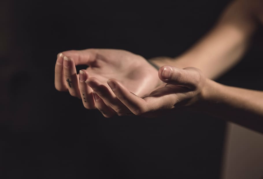 person showing both hands, palm, palms, empty, human hand, human body part HD wallpaper
