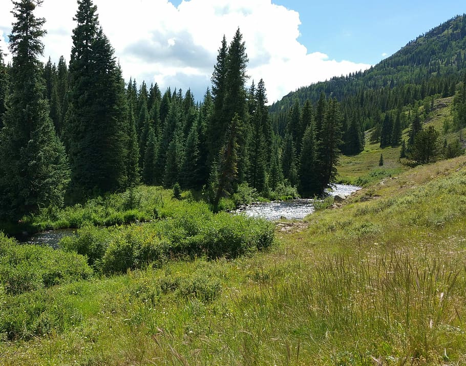 Mountains, Landscape, Trees, Forest, green, stream, valley HD wallpaper