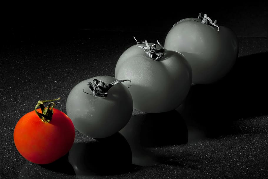 tomato, red, fruit, color key, vegetables, food, frisch, healthy HD wallpaper